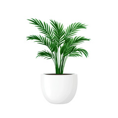 Fototapeta premium Modern Flat Design Tropical Palm Plant in Glossy White Pot
