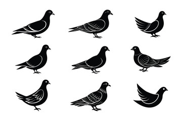 Peaceful Dove Illustrations in Black and White for Elegant Designs