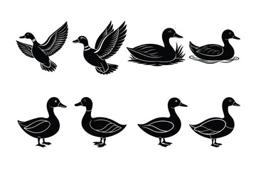 Black and White Duck Illustrations for Nature-Themed Designs