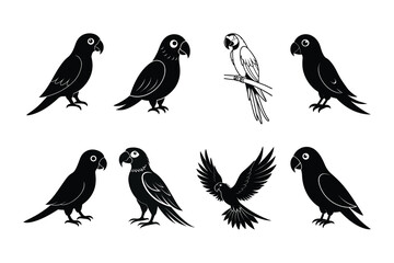 Elegant Bird Silhouette Vector Illustrations in Black and White