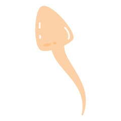 Sperm Cells Fertilizing an Egg Cell