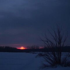 Bleak winter sunset over snowy field.