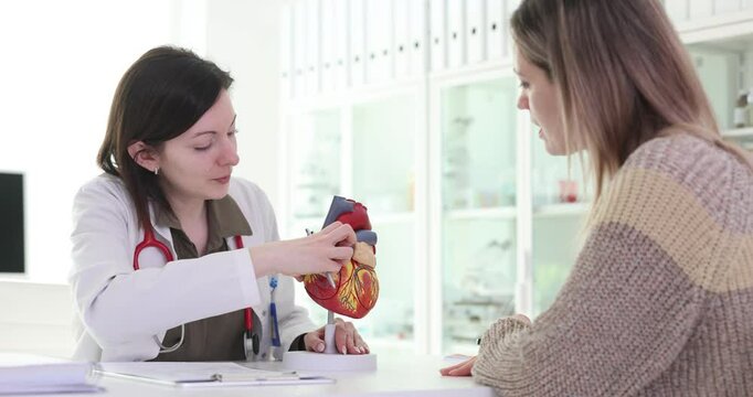 Doctor uses heart model to explain structure to patient. Cardiologist explains impact of untreated high cholesterol on blood vessels. Slow motion