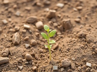 Replanting Hope: Nature's Rebirth, Regenerating Our Planet, One Tree at a Time, Restoring the Earth: Planting for the Future
