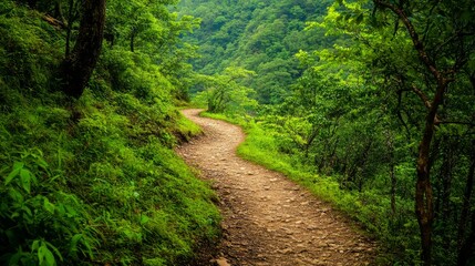 Obraz premium A scenic mountain hiking trail with lush greenery and a winding path, Mountain hiking scene, Adventurous and outdoorsy style