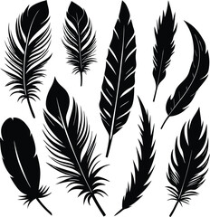 Elegant Black Feather Silhouettes  Design