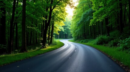 Fototapeta premium Winding Asphalt Road Through Lush Green Forest Canopy at Dawn
