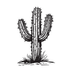 cactus isolated on white