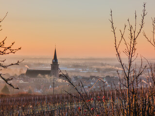 Matin d'hiver à Bergheim : entre vignoble et brumes matinales au lever du soleil, CEA, Alsace, Grand Est, France