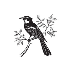 bird on a branch of tree