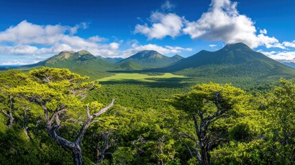Lush Mountain Valley Panorama