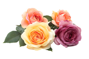 bouquet of roses isolated on white background PNG.AI GENERATED