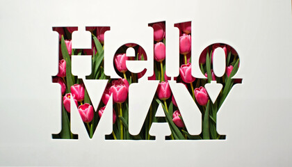 Bold 'Hello May' text with pink tulips seen through cut-out letters on a bright white background