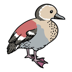 bird hand drawing illustration for logo mascot icon template design etc