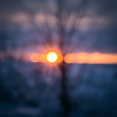 Blurred sunset behind winter tree.