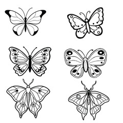  butterfly vector line art design 