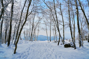 Winter in the mountains. A beautiful winterlandscape. 