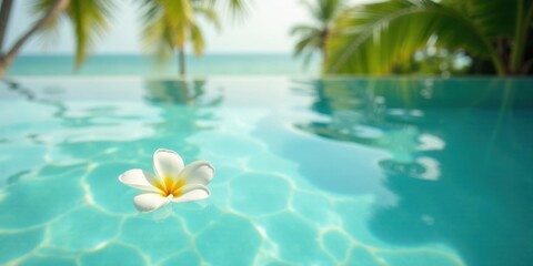 Serene tropical poolside escape featuring a delicate white flower floating gently on the turquoise water, with palm trees softly blurred in the background.