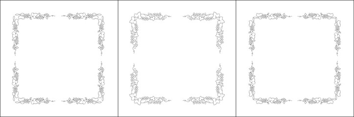 Set of three vector decorative frames. Vegetal frame with grapevine, decorative corners for greeting cards, banners, business cards, invitations, menus. Isolated vector illustration.	