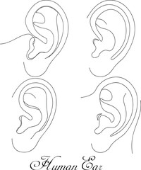 Human Ear Continuous One Line Art Drawing Minimalist And Modern Illustration In Editable Stroke
