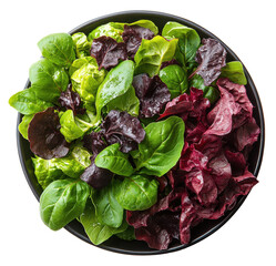 Fresh leafy greens mix in a modern bowl on a simple white background showcasing vibrant textures and colors