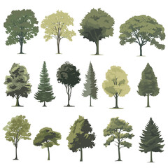 trees elevation, set of trees, vector trees