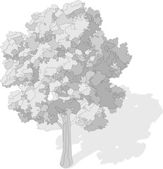 Axonometric tree, isometric vector tree 