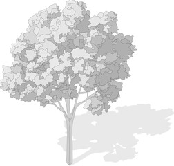 Axonometric tree, isometric vector tree 