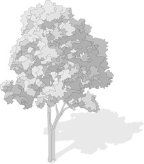 Axonometric tree, isometric vector tree 
