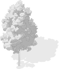 Axonometric tree, isometric vector tree 