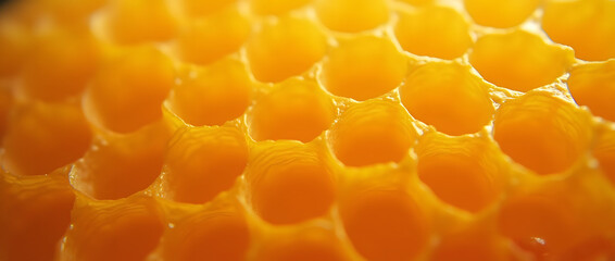 Honeycombs, macro photography, honeycombs with honey, background.