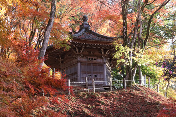 愛知県豊田市のこうよ名所、香嵐渓。紅葉の山中にある太子堂。