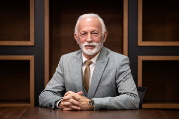 Portrait of successful and wealthy company director in business suit sitting in luxurious office.