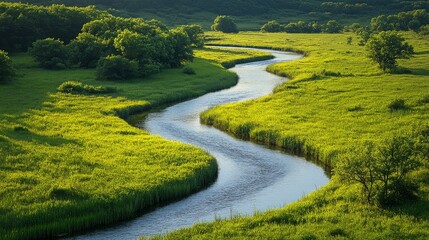 Fototapeta premium Serene river flows through a verdant meadow landscape under soft natural light reflecting on the water's surface with the trees around