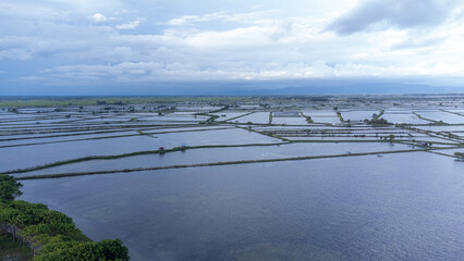 Portrait of the community's pond area near the beach.
January 18 2025
Pinrang, South Sulawesi Indonesia.