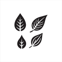 Obraz premium vector set of leaves