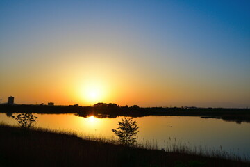 朝の信濃川（新潟県）