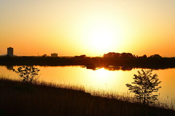 Fototapeta premium 朝の信濃川（新潟県）