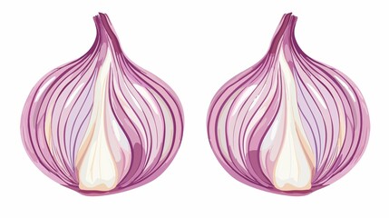 Fresh Onion Halves on White Background Cartoon Vector Illustration