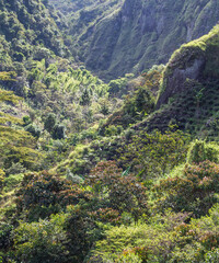 Tierradentro, Inza, Cauca, Colombia.  Beautiful landscape of the Andes Mountains. Valley, lush vegetation.
