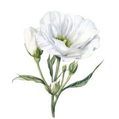 Elegant Flower Clipart Vector Illustration