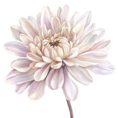 Obraz premium Elegant Flower Clipart Vector Illustration