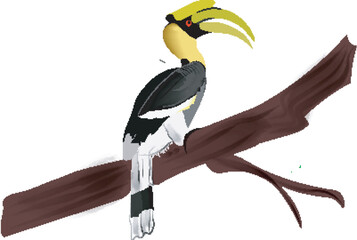 The great hornbill (Buceros bicornis), also known as the concave-casqued hornbill, great Indian hornbill or great pied hornbill, is one of the larger members of the hornbill family. 