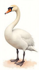 Obraz premium An exquisite watercolor illustration of a swan in soft pastel colors with delicate hand details.