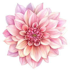 Fototapeta premium Elegant Flower Clipart Vector Illustration