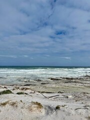 A grasping view of rolling hills meeting the coastline, with a sandy foreground under cloudy skies. Great for themes of nature, exploration, and tranquility.