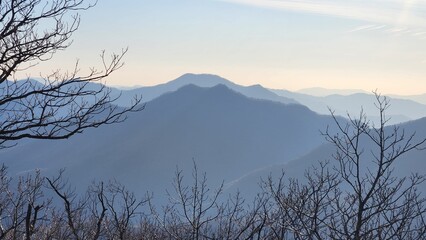 Silhouette of a tree against the background of mountains. Beautiful Mountain with mist. nature...