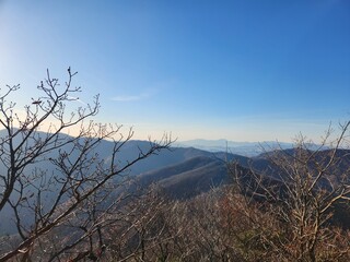 Silhouette of a tree against the background of mountains. Beautiful Mountain with mist. nature background design