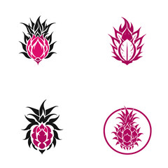 Obraz premium Dragon Fruit Flat Design Fruit vector Icon