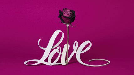 Obraz premium Rose is in the middle of the word LOVE